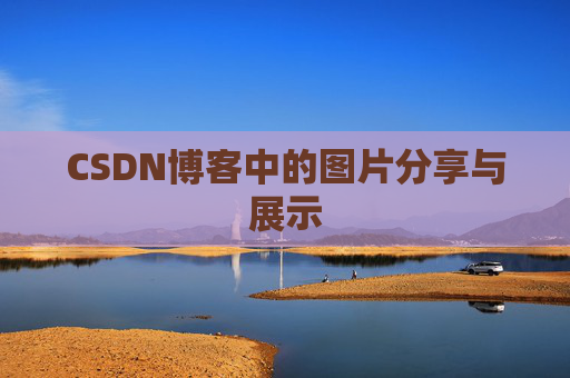 CSDN博客中的图片分享与展示